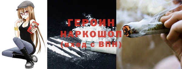 индика Дмитровск