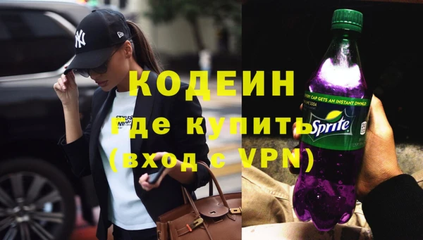прущие грибы Дмитров