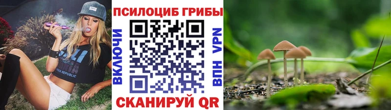 Псилоцибиновые грибы ЛСД Ялта